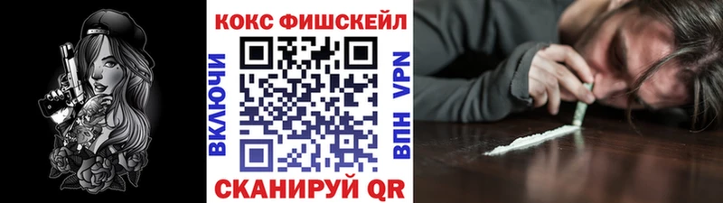 Cocaine FishScale  Купить закладки  Калининец 