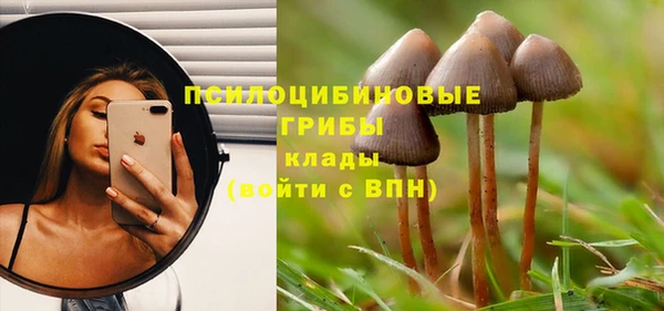 MESCALINE Елизово