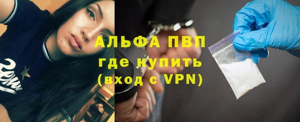 MESCALINE Елизово