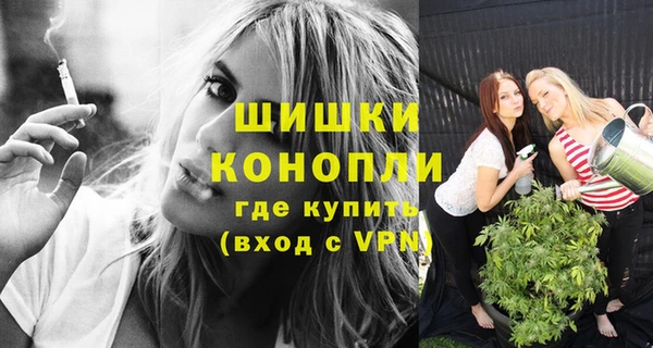 кокс Ельня