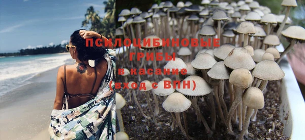 кокс Ельня