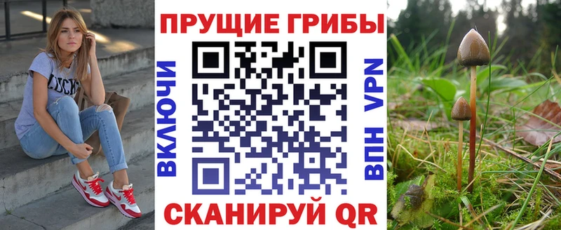 Купить закладки  Калининец  Галлюциногенные грибы прущие грибы 